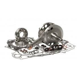 KIT VILEBREQUIN BIHR RM125 04-08