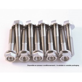 KIT VIS TITANE SCAR 4x M8X40 + 1x M8X25
