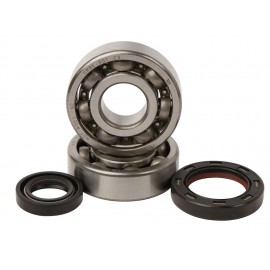 KIT ROULEMENTS + SPI DE VILEBREQUIN HOTRODS YAMAHA YZF 250 03-21