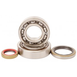 KIT ROULEMENTS + SPI DE VILEBREQUIN HOTRODS KTM SX 65 09-21