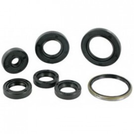 POCHETTE JOINTS SPIS BAS MOTEUR HONDA CRF 450 02-08