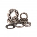 Roulements moteur